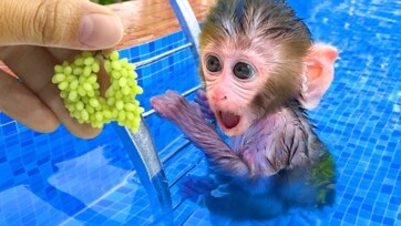 Pool Safety Gear & Summer Snack Ideas That Keep Kids Alive (And Happy)