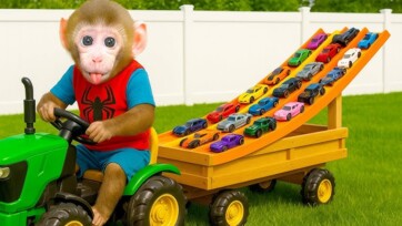 Toy Car Investment Guide 2026 | What $300 in Vehicle Toys Actually Gets You